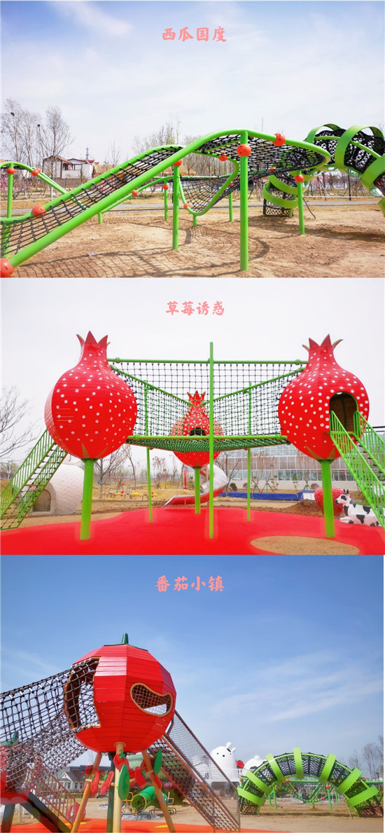 2021年首届开封爱思嘉·油菜花节即将启幕，千米风筝现场放飞！
