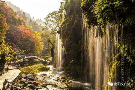 南阳市4a级以上景区面向全国中医师免费