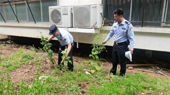 淮滨县公安局开展毒品原植物铲除工作